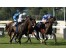  Carrera: P.Jose Luis Martínez "Magic" Caballo: Velerin Monta: R.Sousa